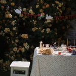 Konges Sløjd A/S Verjaardag multi