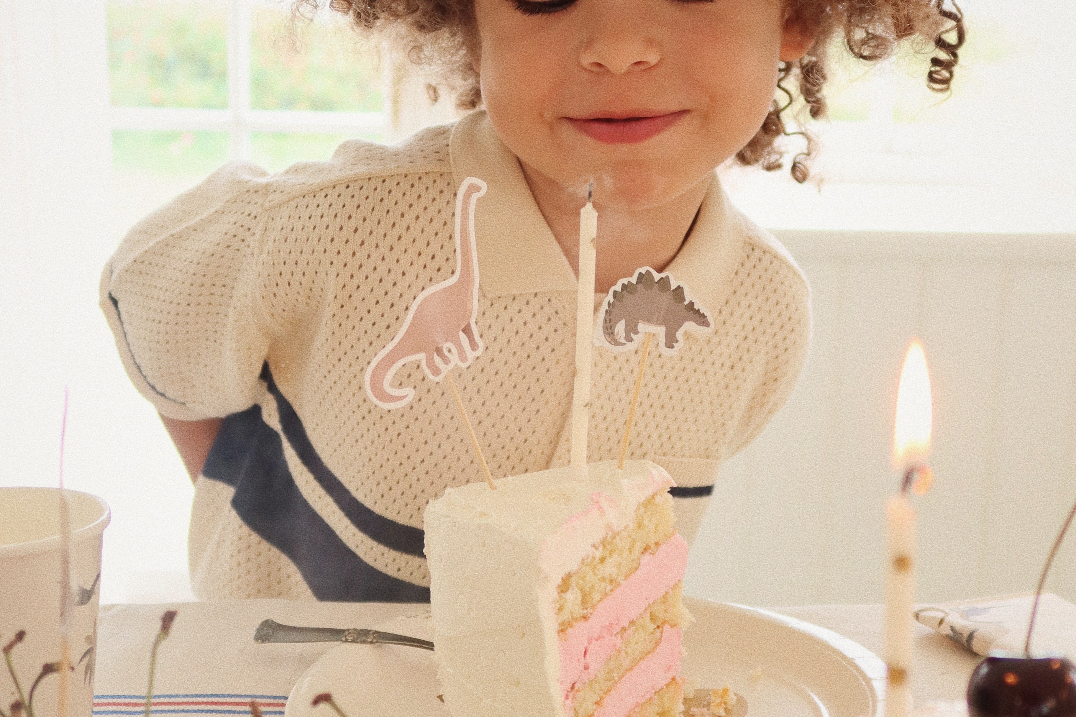 Konges Sløjd A/S Verjaardag dino