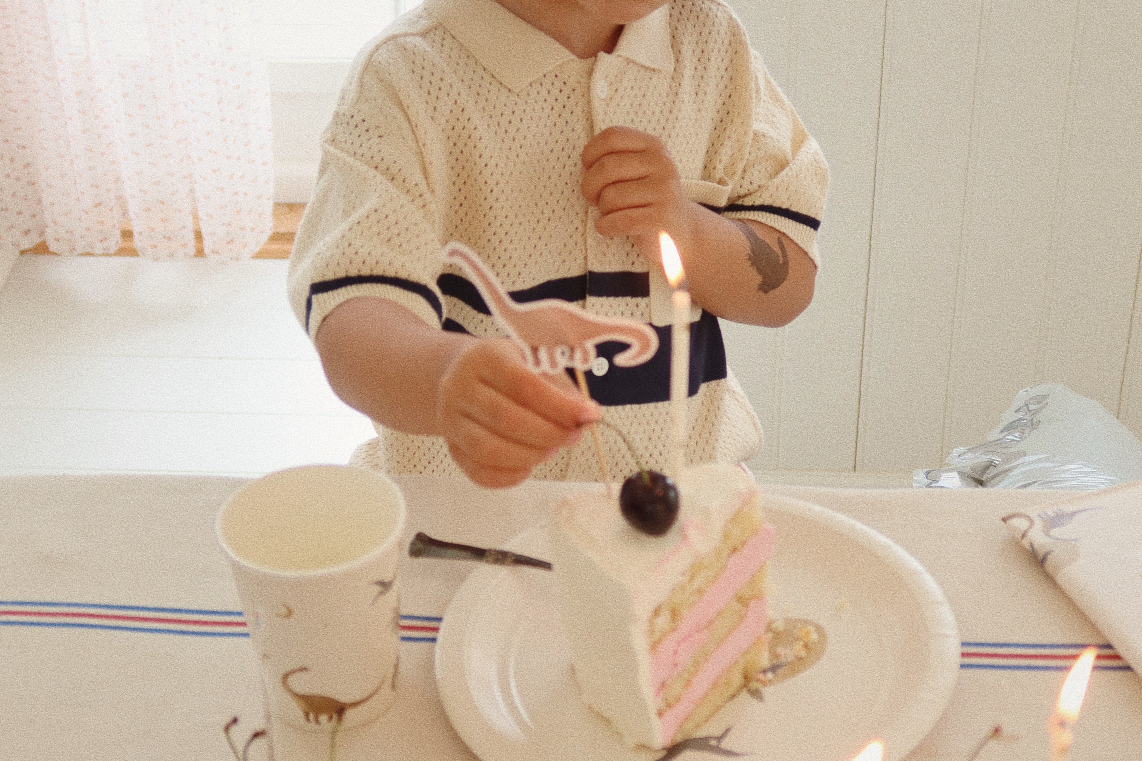 Konges Sløjd A/S Verjaardag dino