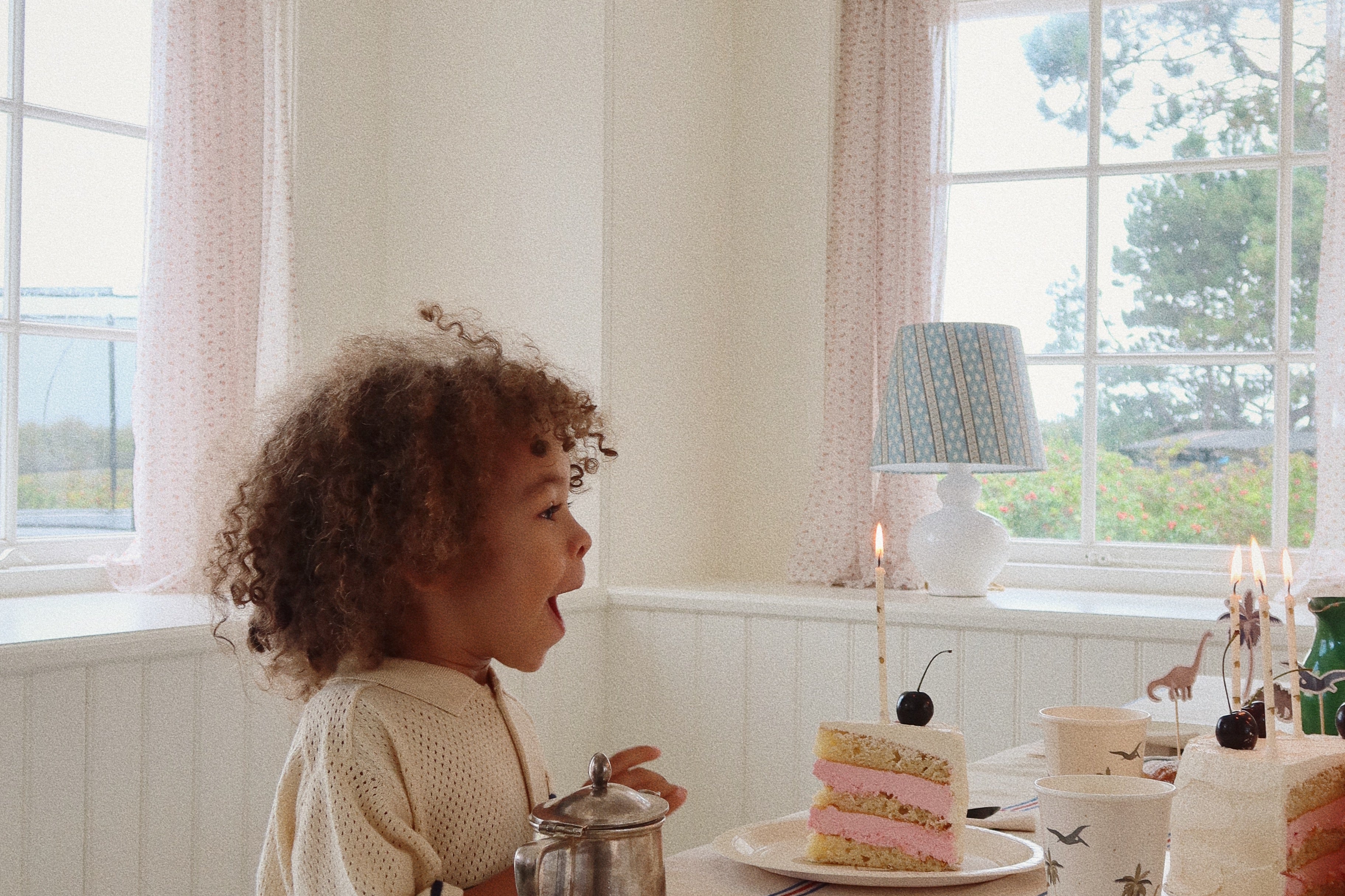 Konges Sløjd A/S Verjaardag dino