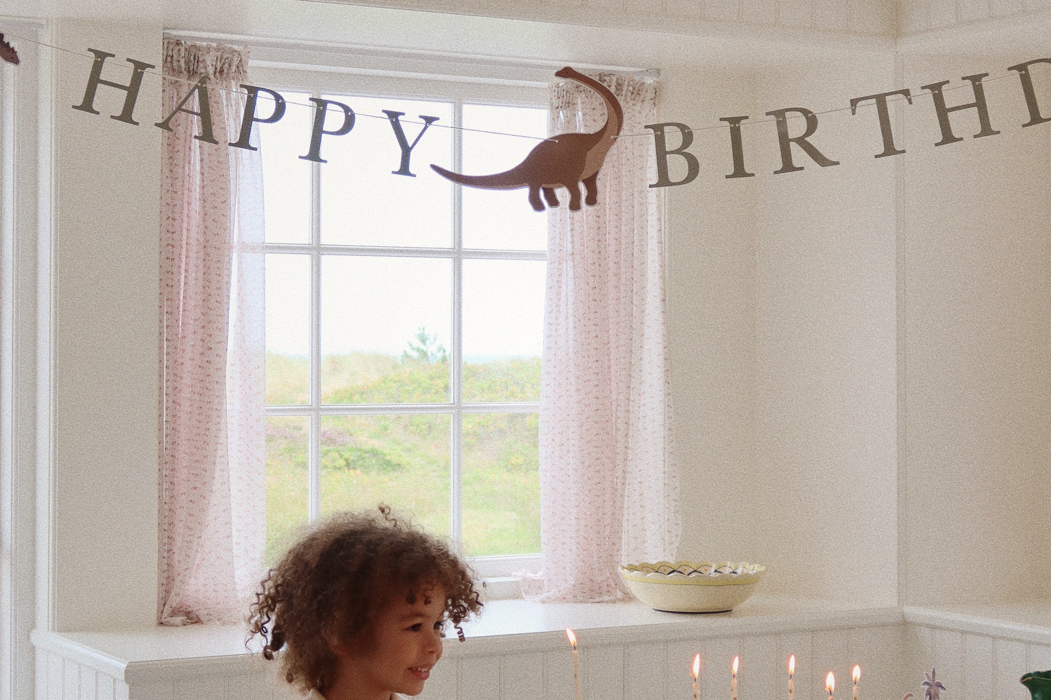 Konges Sløjd A/S Verjaardag dino