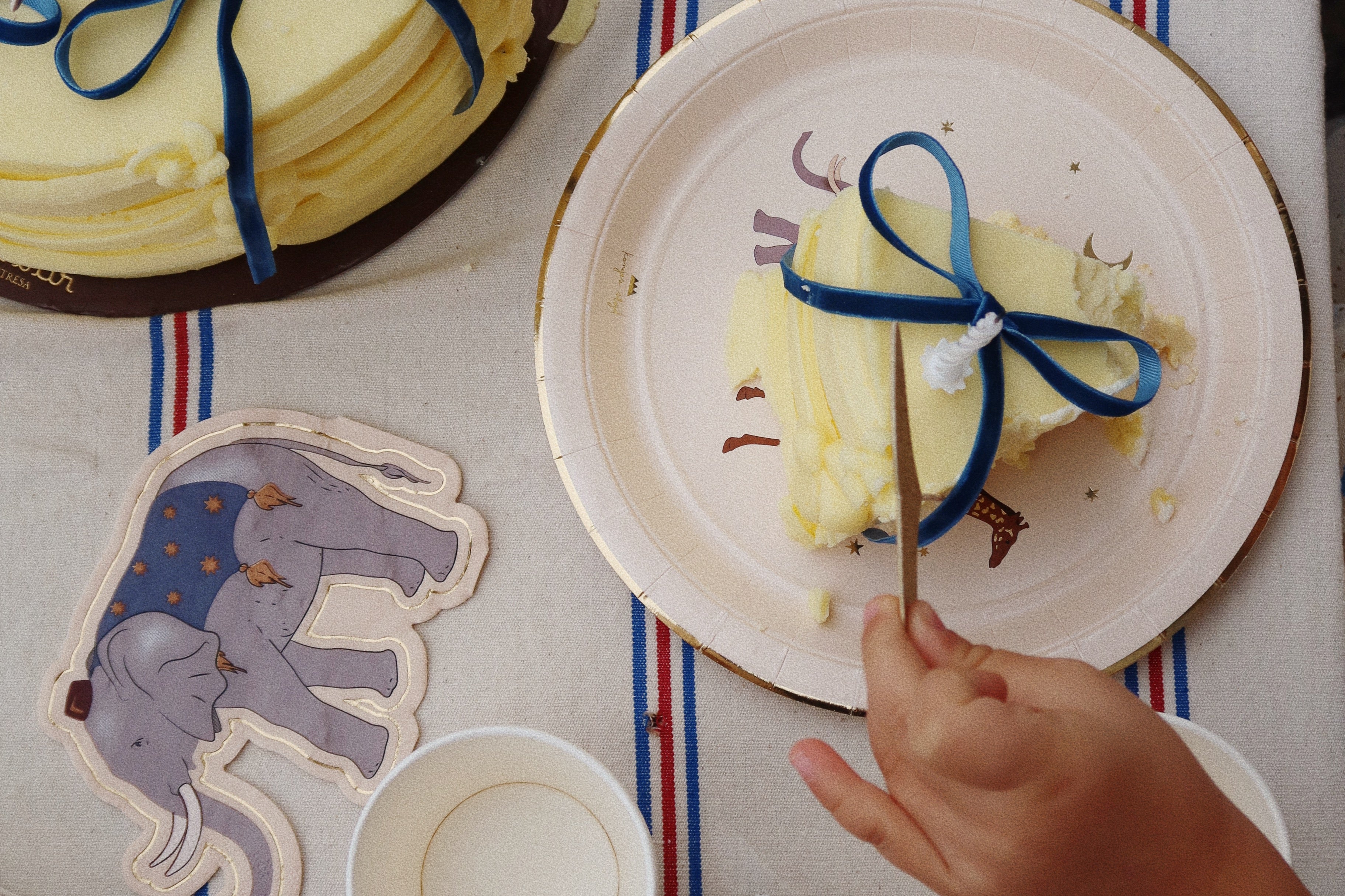 Konges Sløjd A/S Verjaardag safari