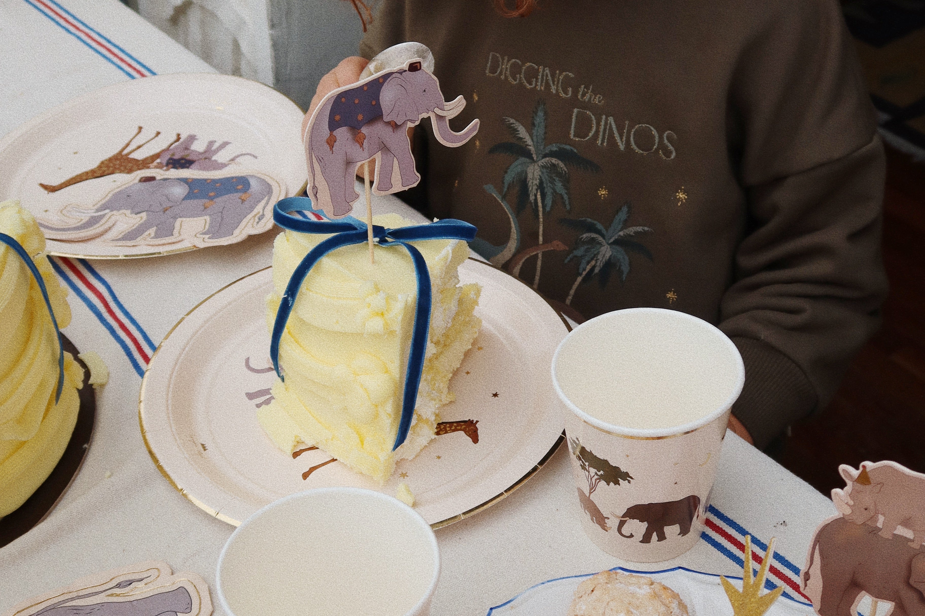 Konges Sløjd A/S Verjaardag safari