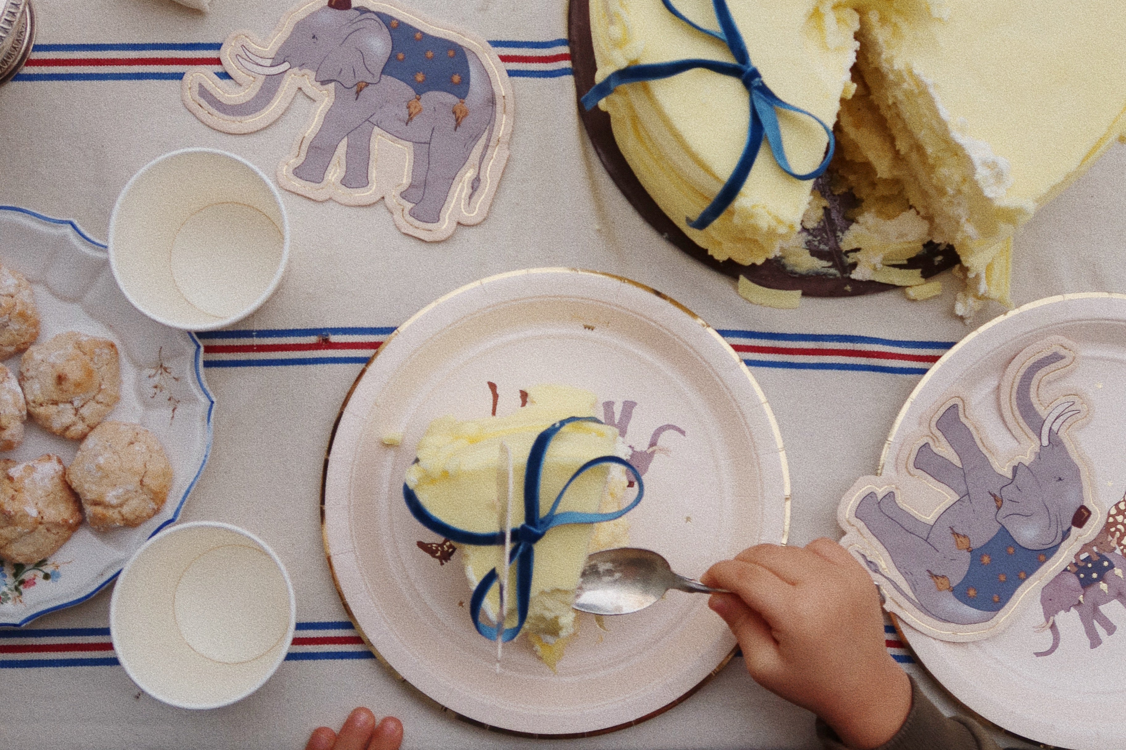 Konges Sløjd A/S Verjaardag safari