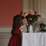 Konges Sløjd A/S Jersey Jurken red dahlia