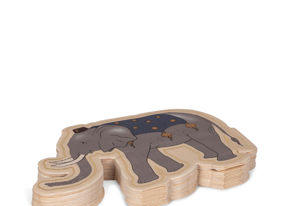 Konges Sløjd A/S Verjaardag safari