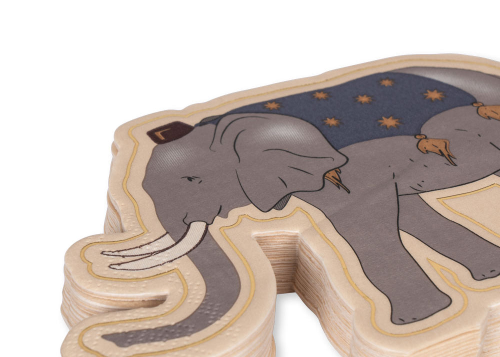 Konges Sløjd A/S Verjaardag safari