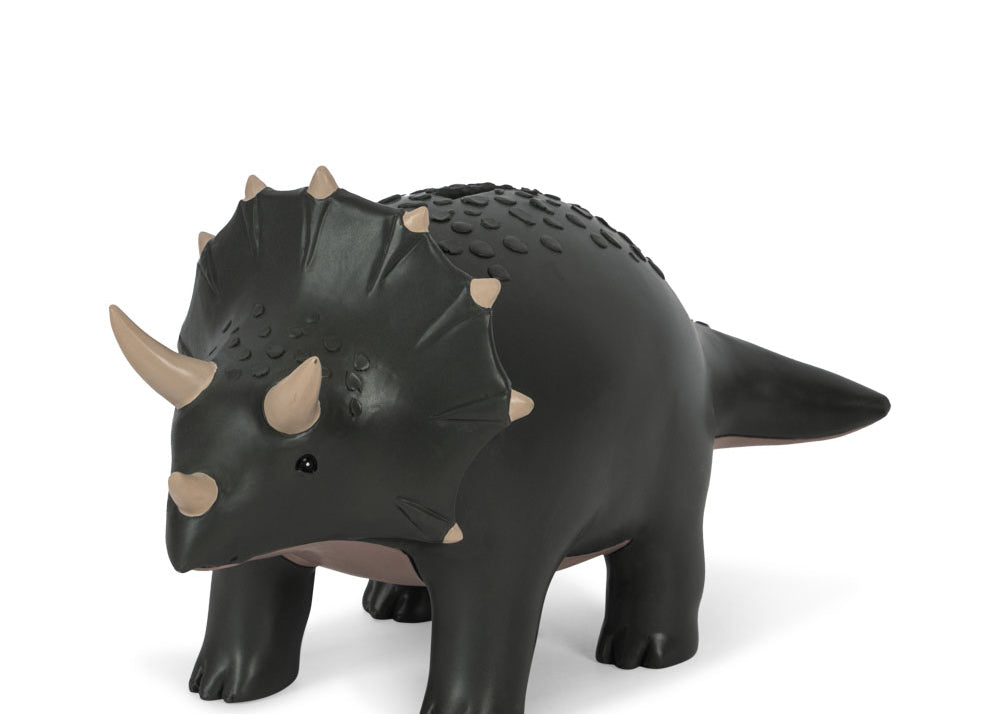 Konges Sløjd A/S Decoratie dinomite