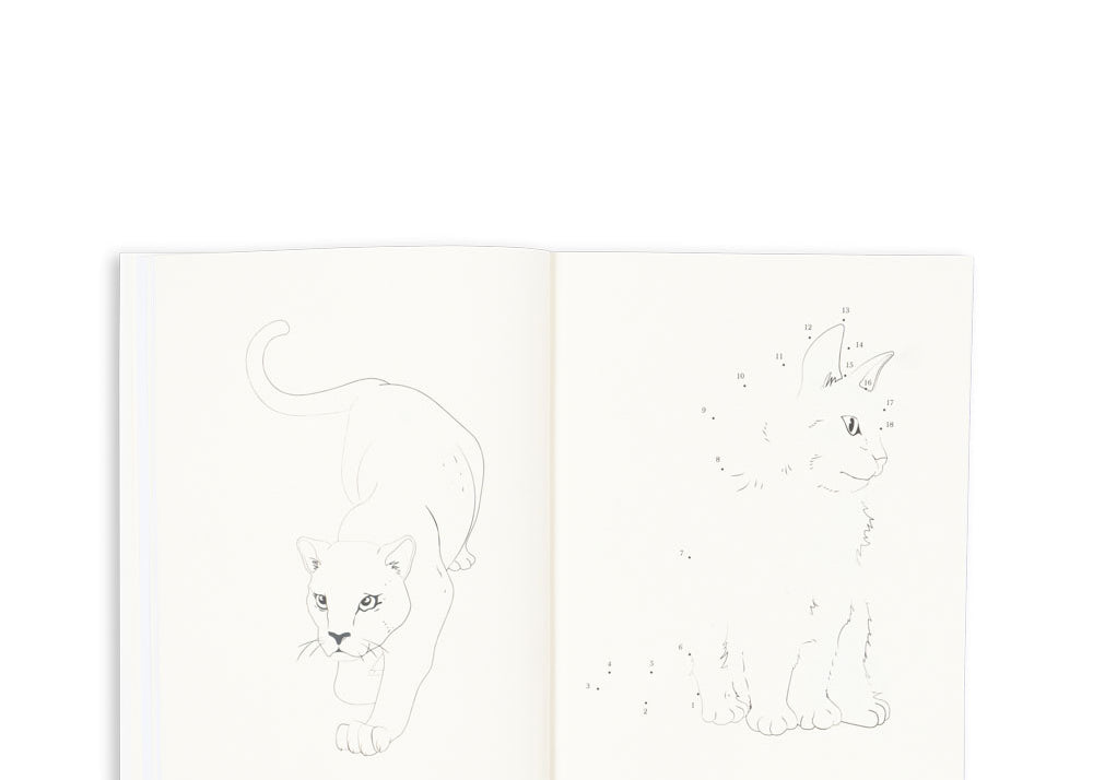 Konges Sløjd A/S Creatief Spelen multi