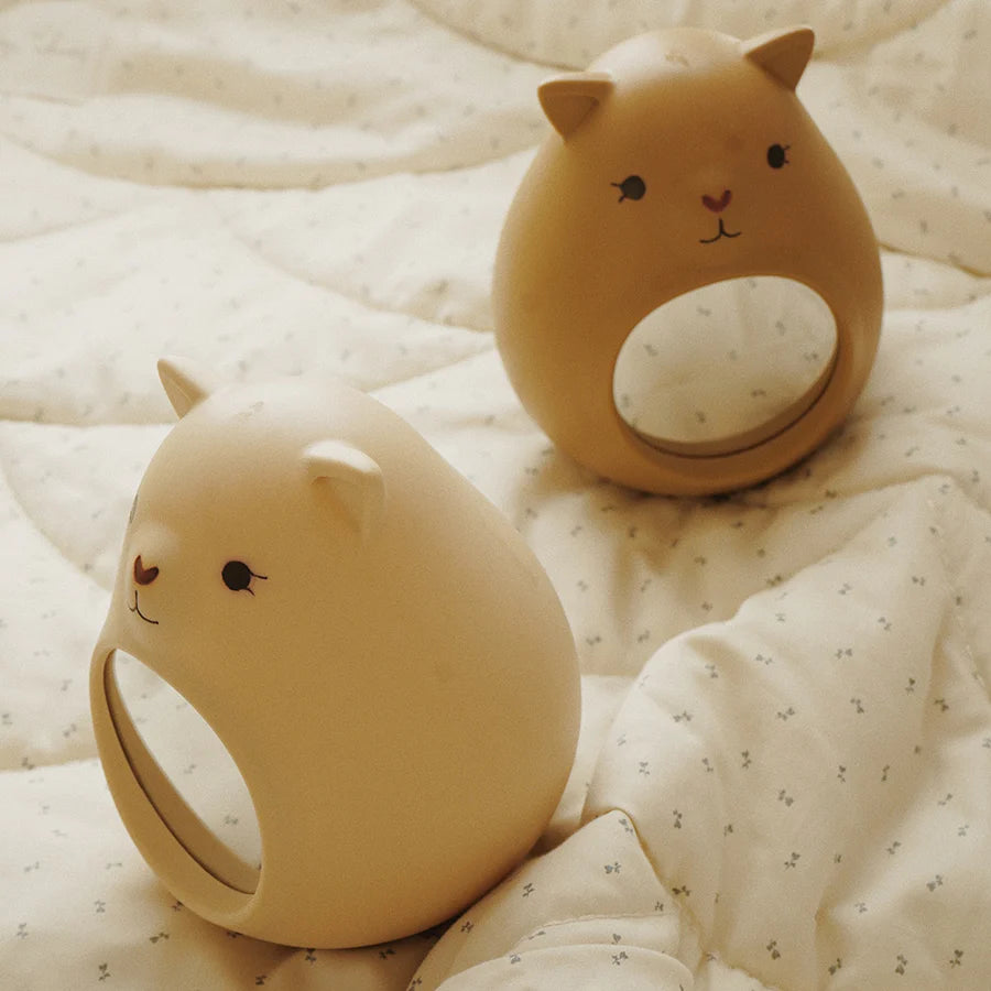 Tilbagekaldelse: Baby Mirror
