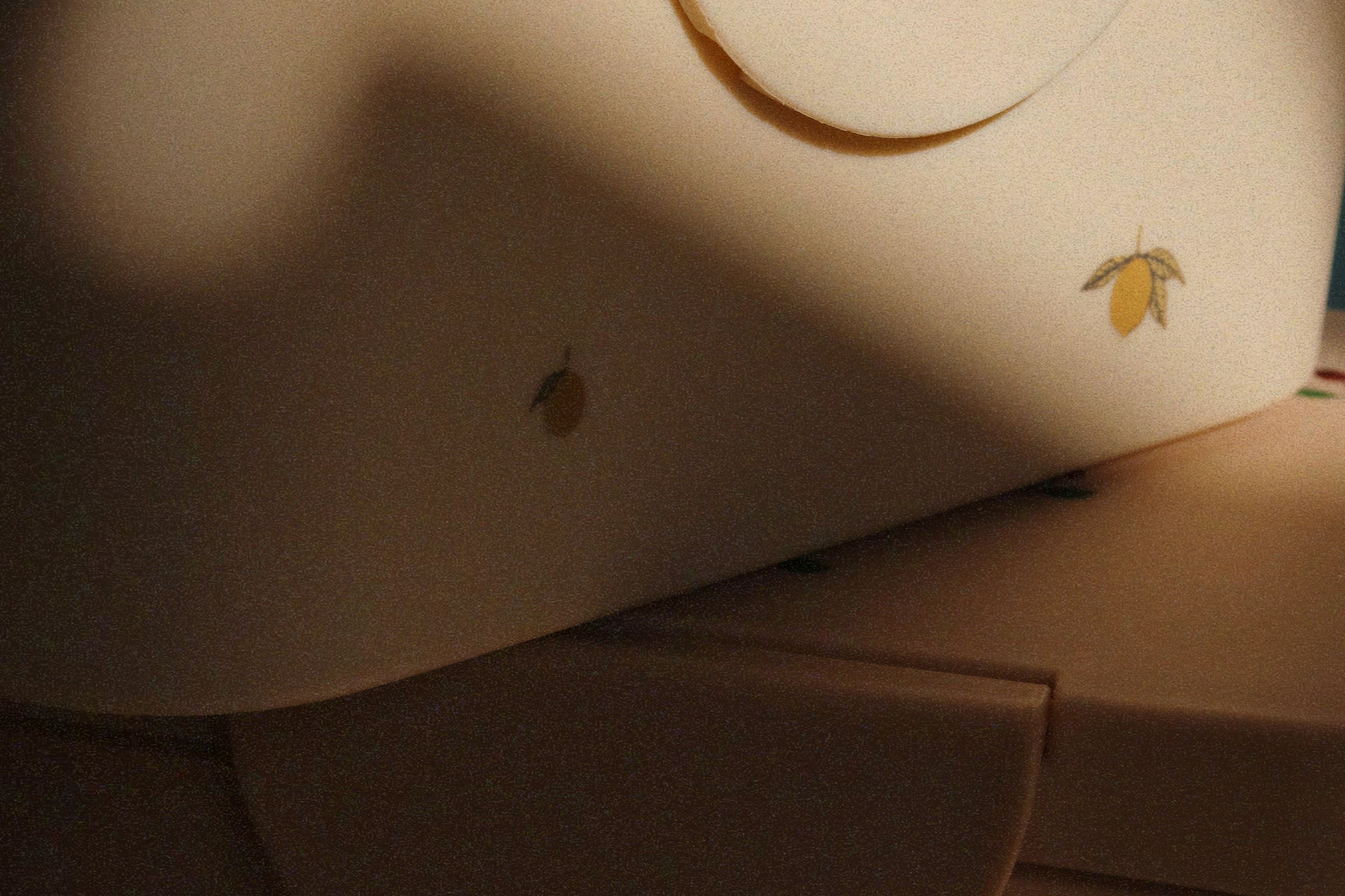 Konges Sløjd A/S LUNCH BOXES lemon