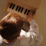 Konges Sløjd A/S Muziekspeeltjes dino