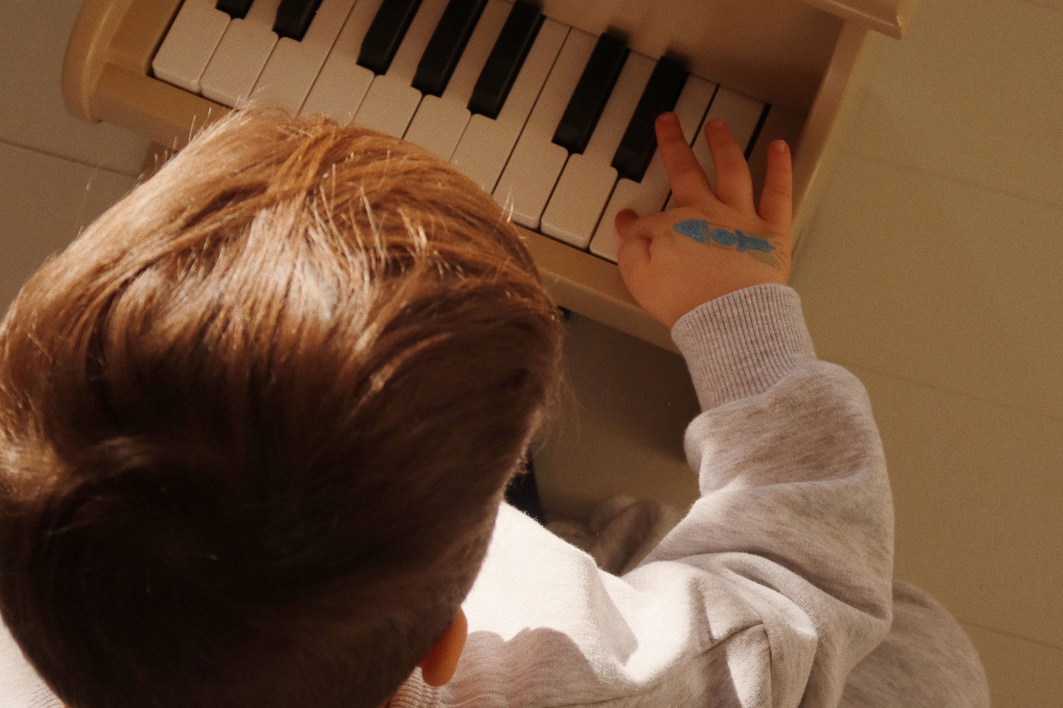 Konges Sløjd A/S Muziekspeeltjes dino