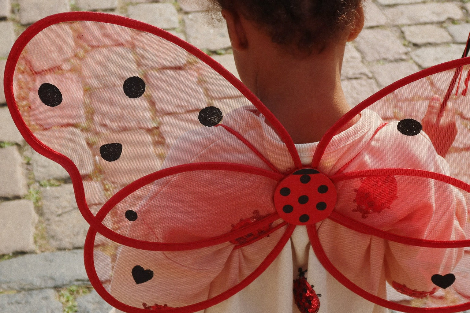 Konges Sløjd A/S Pakken ladybug glitter