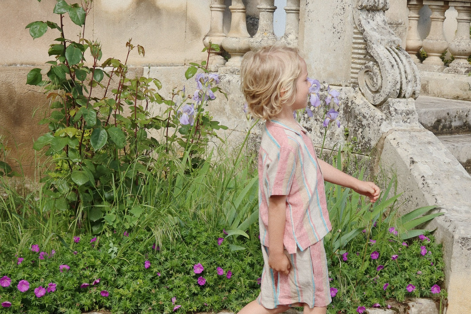 Konges Sløjd A/S WOVEN SHORTS & BLOOMERS stan stripe