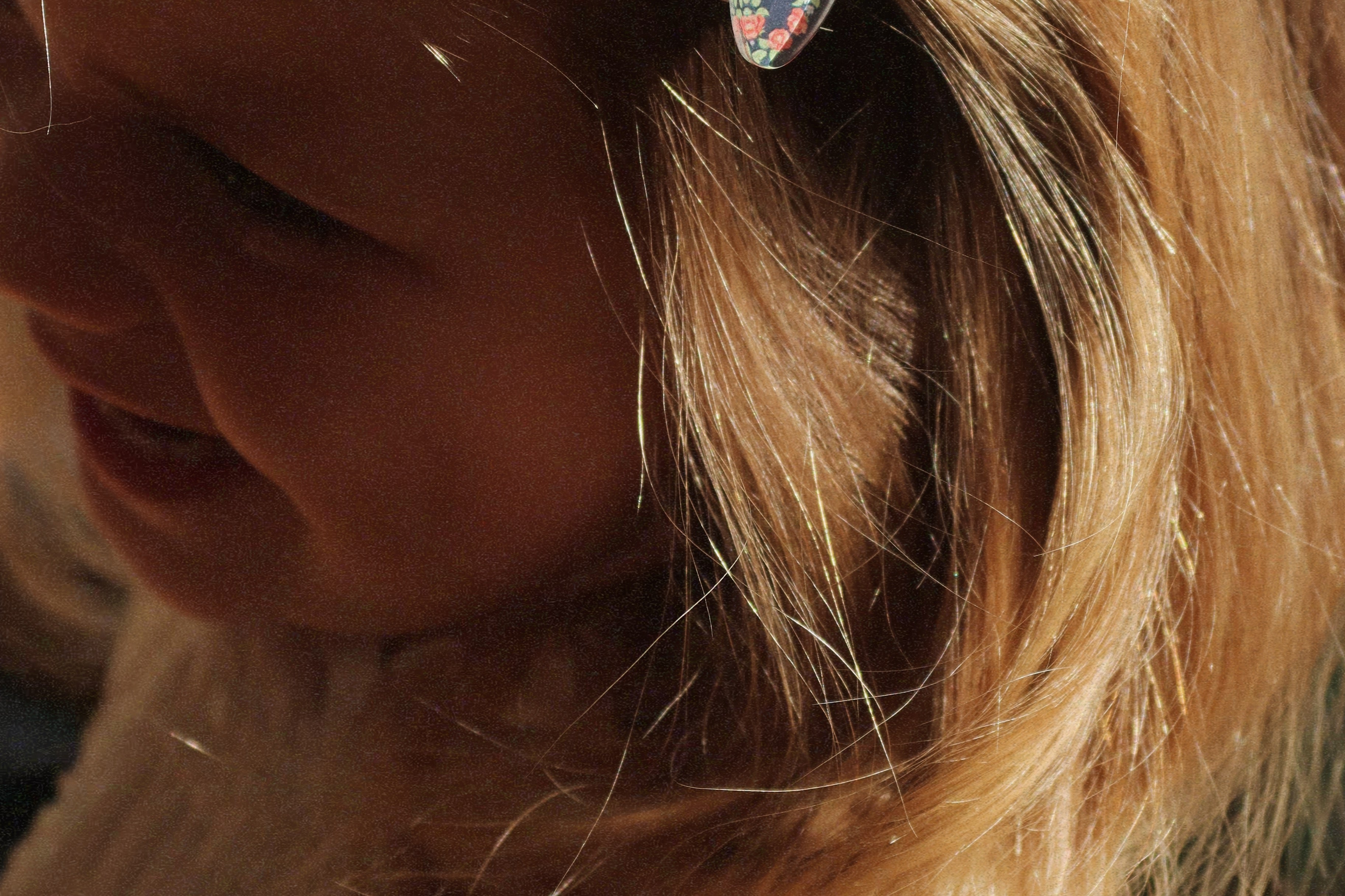 Konges Sløjd A/S Haaraccessoires puppy