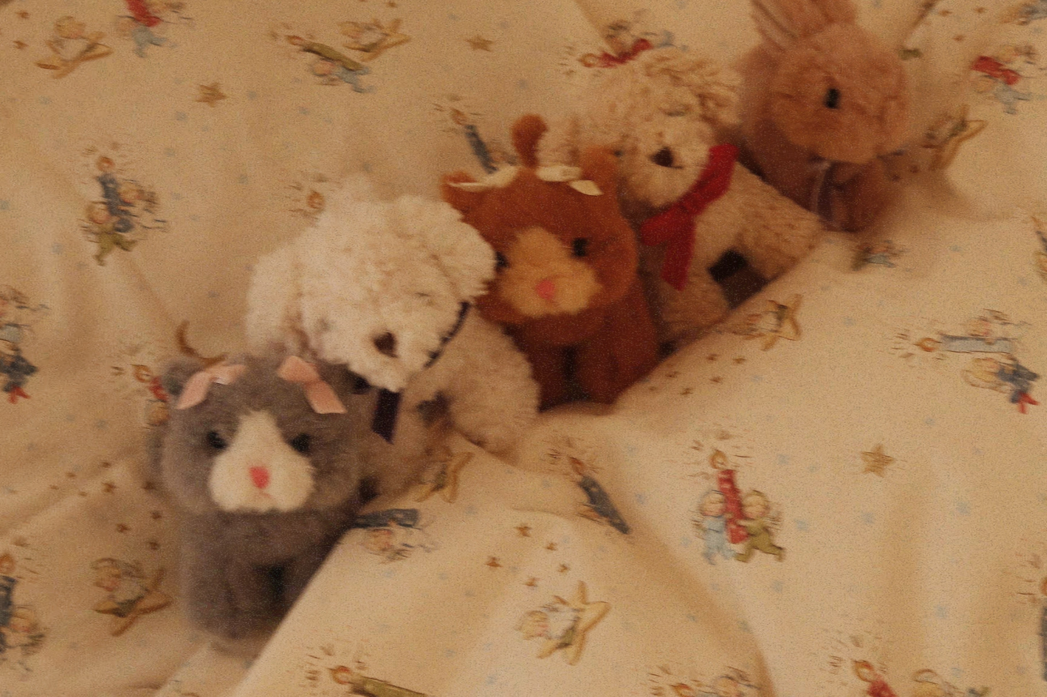 Konges Sløjd A/S TEDDY BEARS white dog