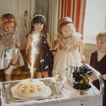 Konges Sløjd A/S HAIR ACCESSORIES ladybug