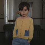 Konges Sløjd A/S WOVEN PANTS blue stripe