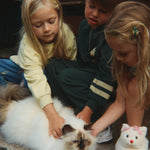 Konges Sløjd A/S Jersey Shirts pine grove