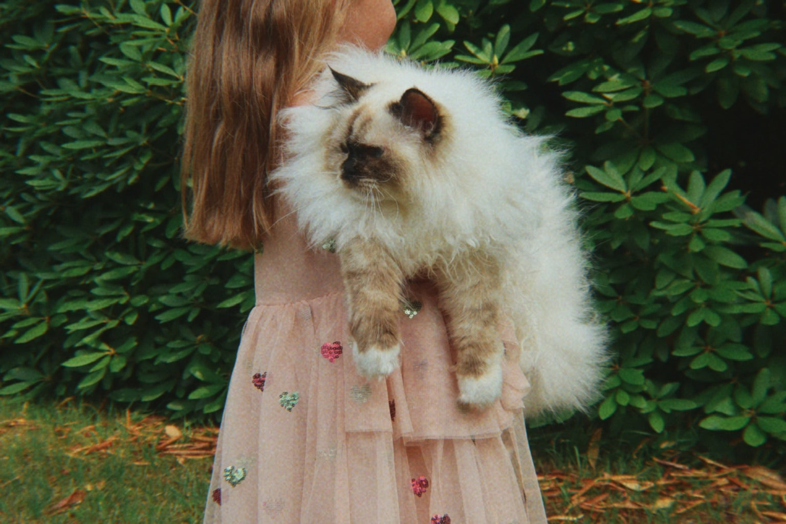 Konges Sløjd A/S WOVEN DRESSES bow kitty