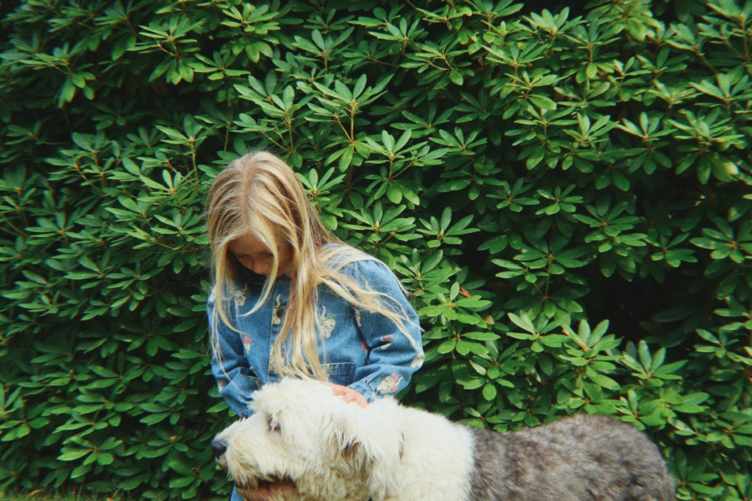 Konges Sløjd A/S Geweven Jacks En Vesten bow kitty denim