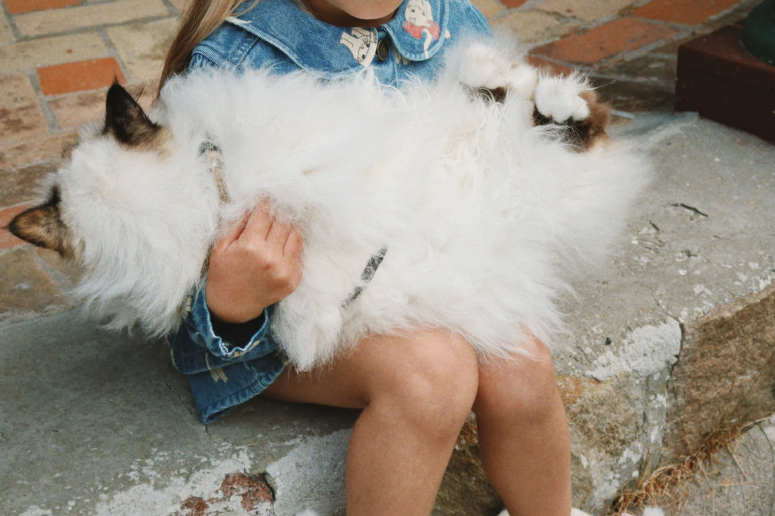 Konges Sløjd A/S Geweven Jacks En Vesten bow kitty denim