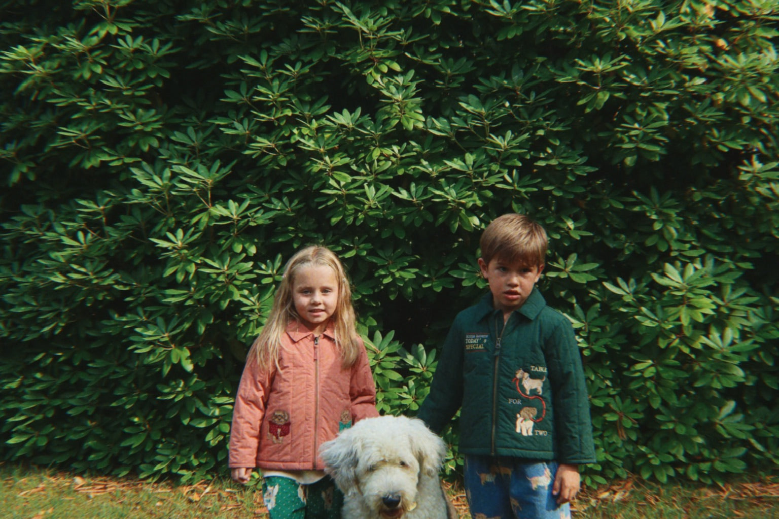 Konges Sløjd A/S Thermokleding pine grove