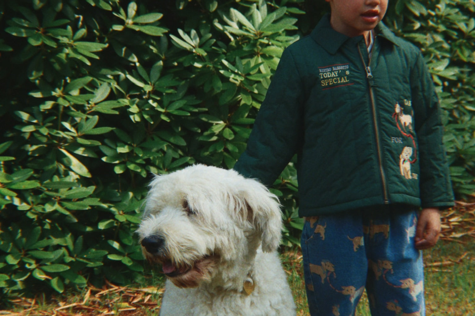 Konges Sløjd A/S Thermokleding pine grove