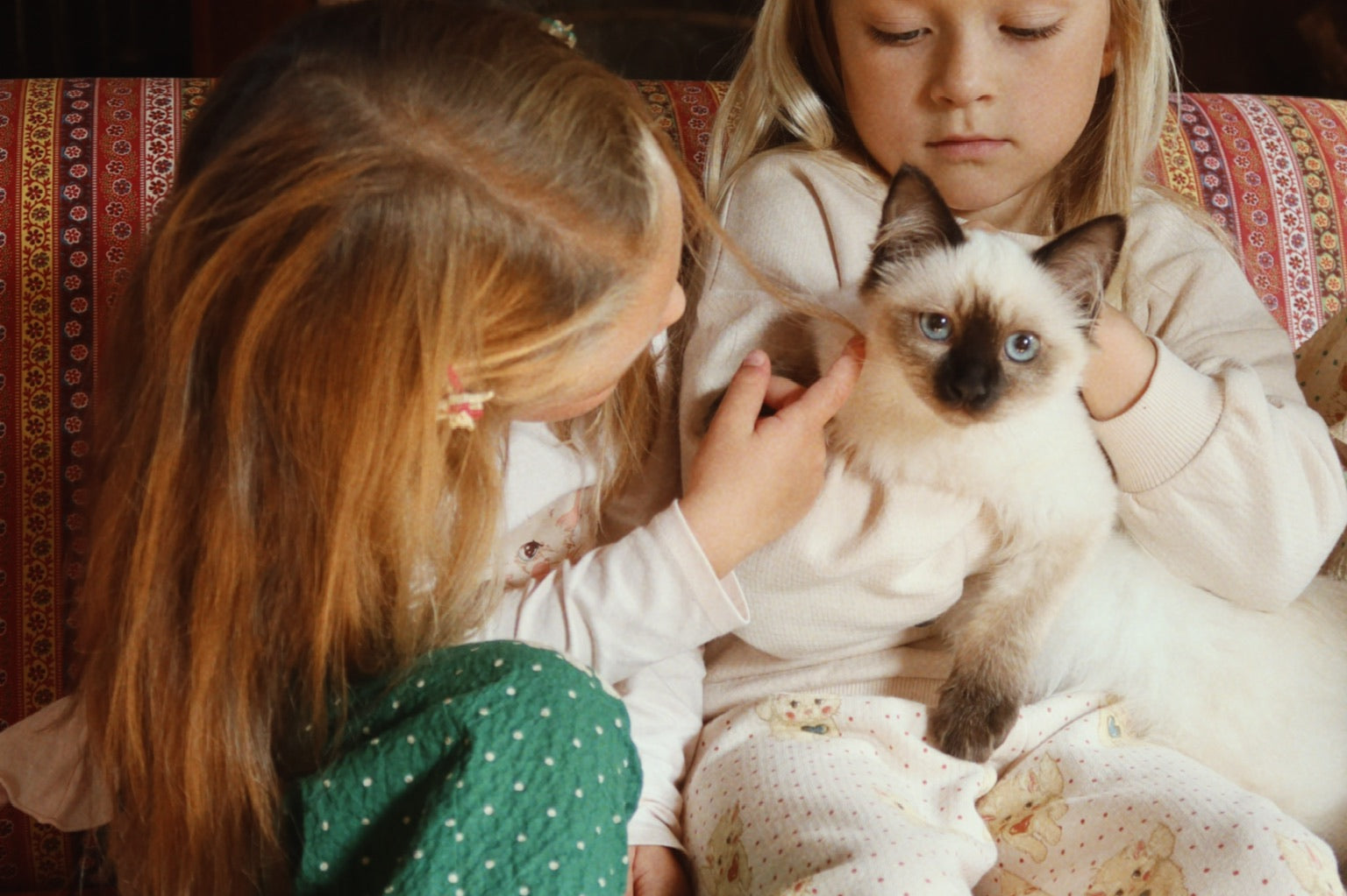 Konges Sløjd A/S Jersey Broeken miao amore