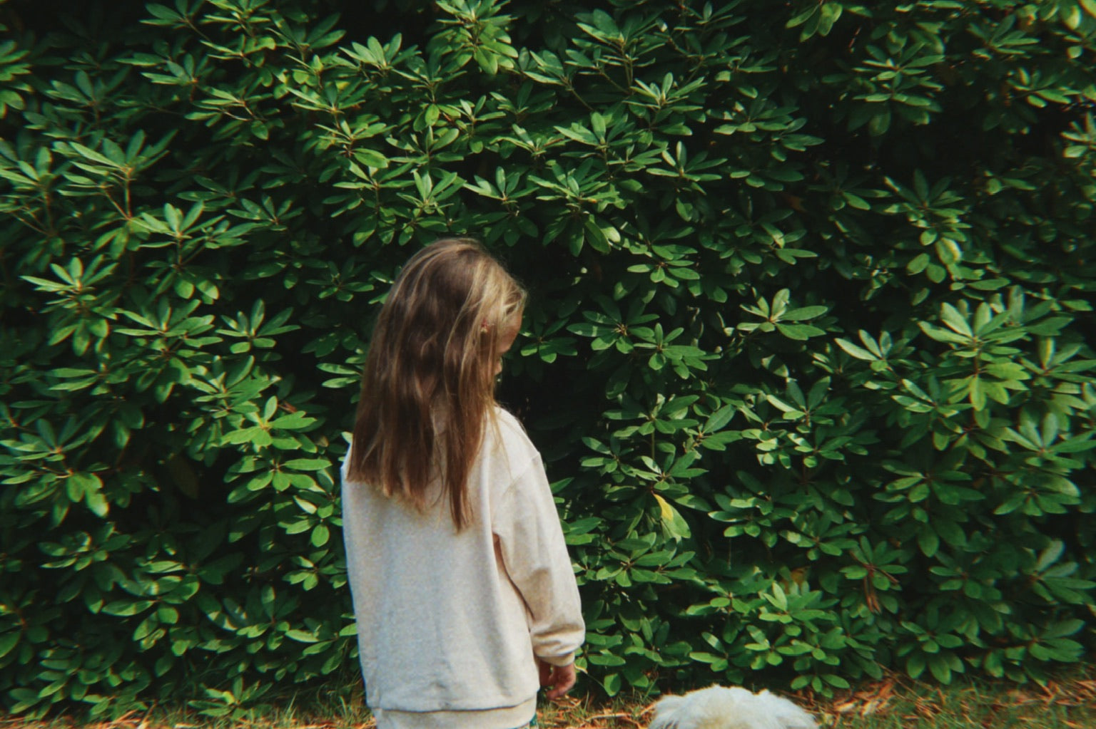 Konges Sløjd A/S Jersey Shirts family photo