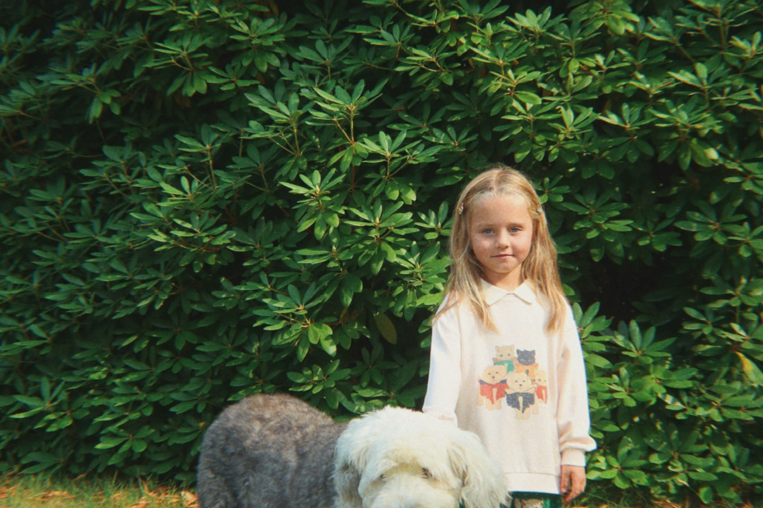 Konges Sløjd A/S Jersey Shirts family photo