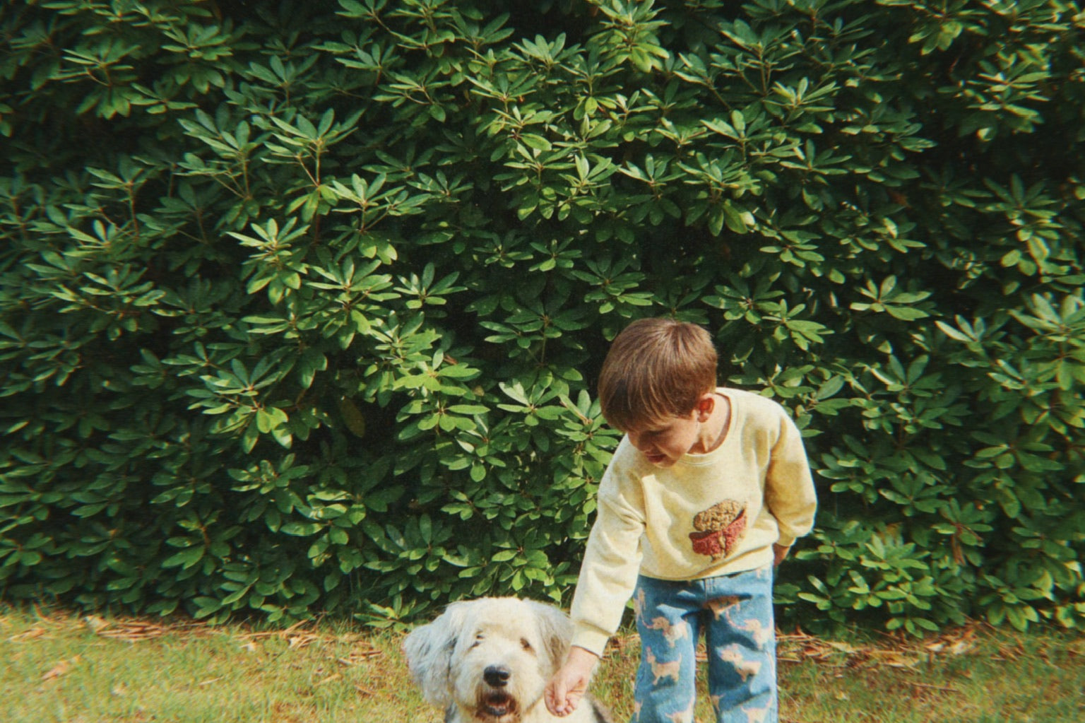 Konges Sløjd A/S Geweven Broeken bassotto