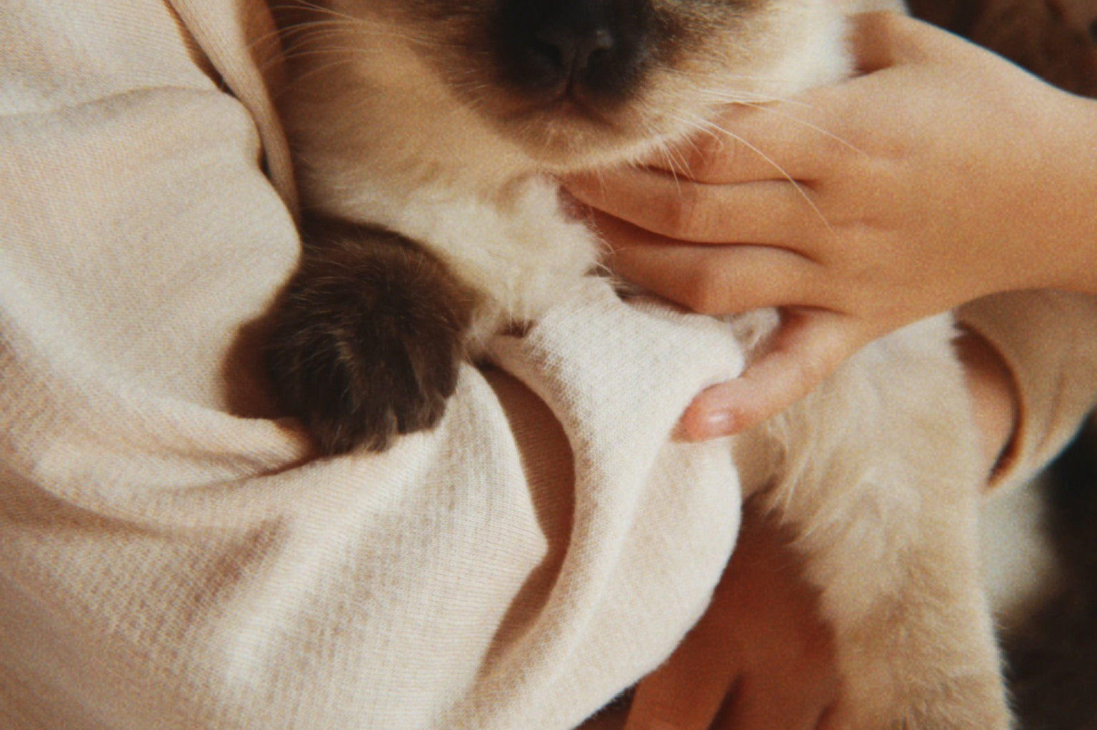 Konges Sløjd A/S Jersey Shirts whisper pink