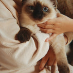 Konges Sløjd A/S Jersey Shirts whisper pink