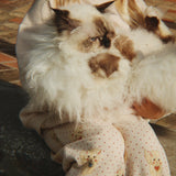 Konges Sløjd A/S Jersey Shirts whisper pink