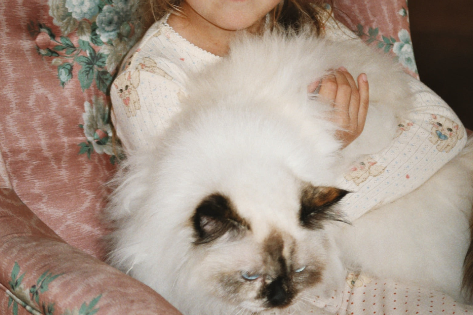 Konges Sløjd A/S Jersey Broeken miao amore