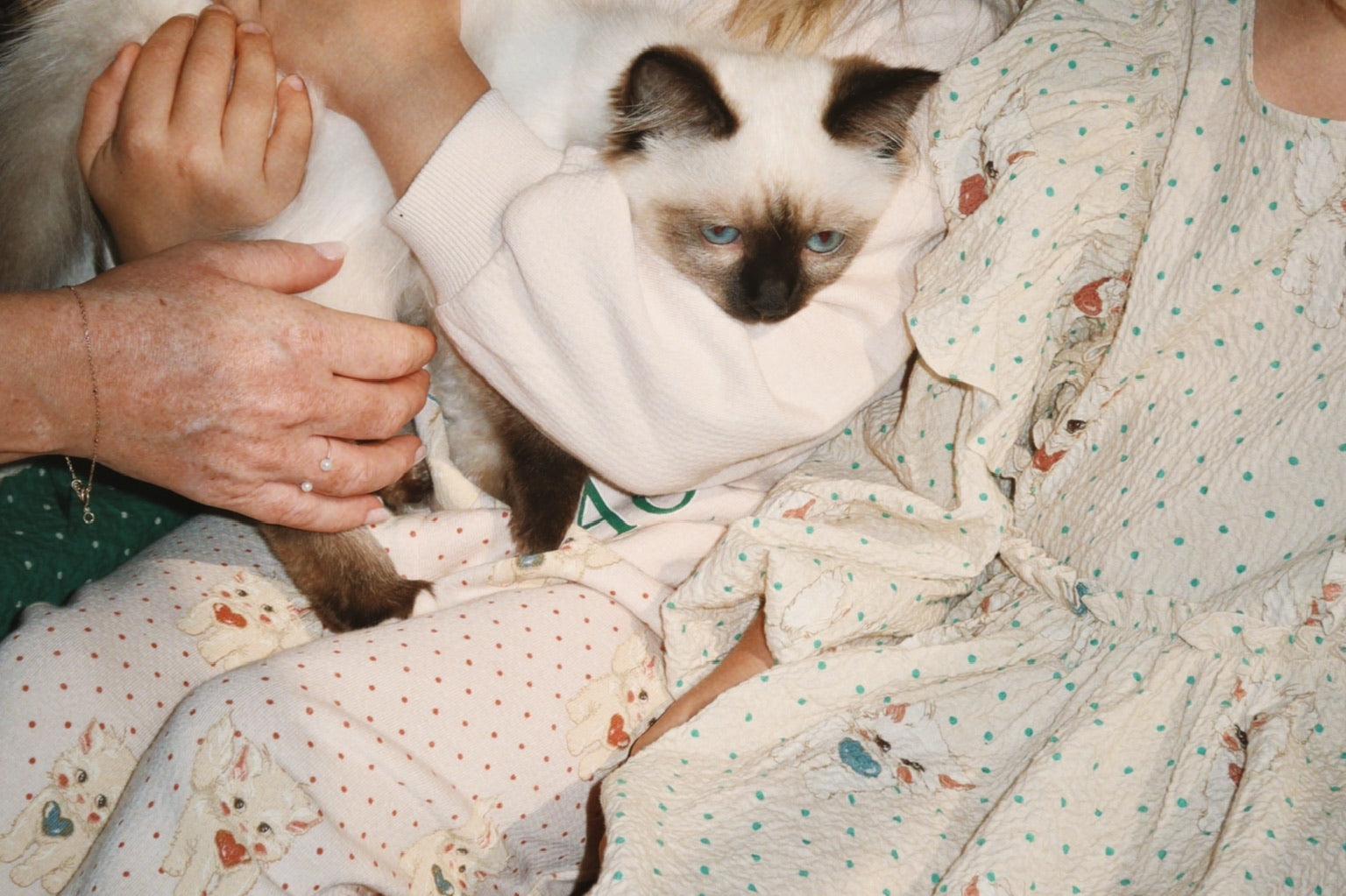 Konges Sløjd A/S Jersey Broeken miao amore