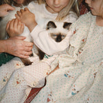 Konges Sløjd A/S Jersey Broeken miao amore