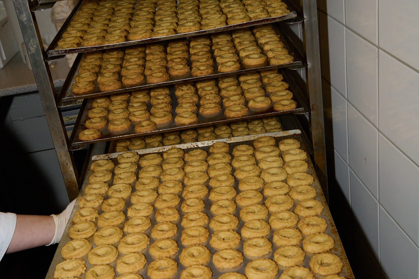 Konges Sløjd A/S Jersey Shirts eden