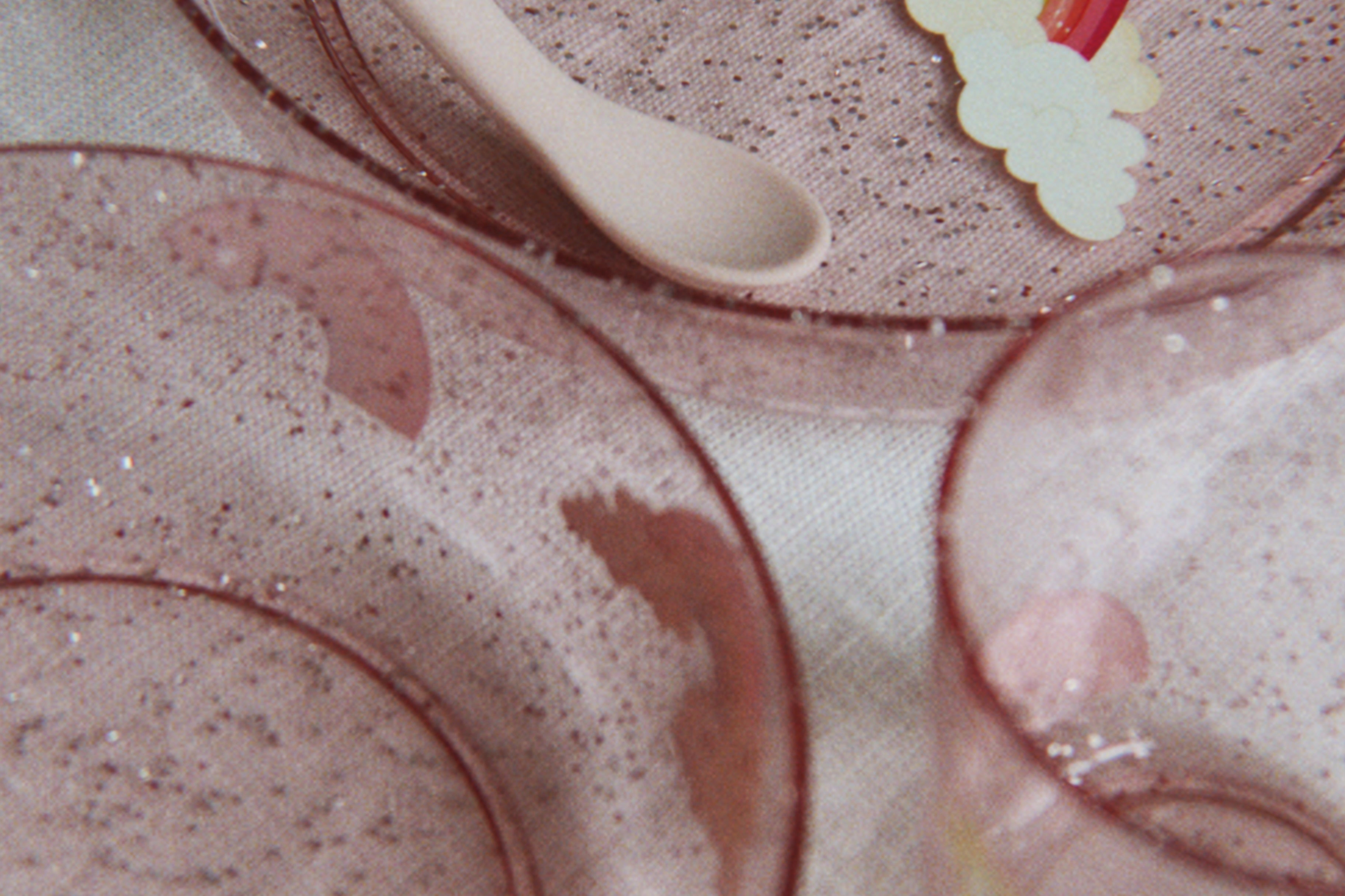 Konges Sløjd A/S TABLEWARE rainbow