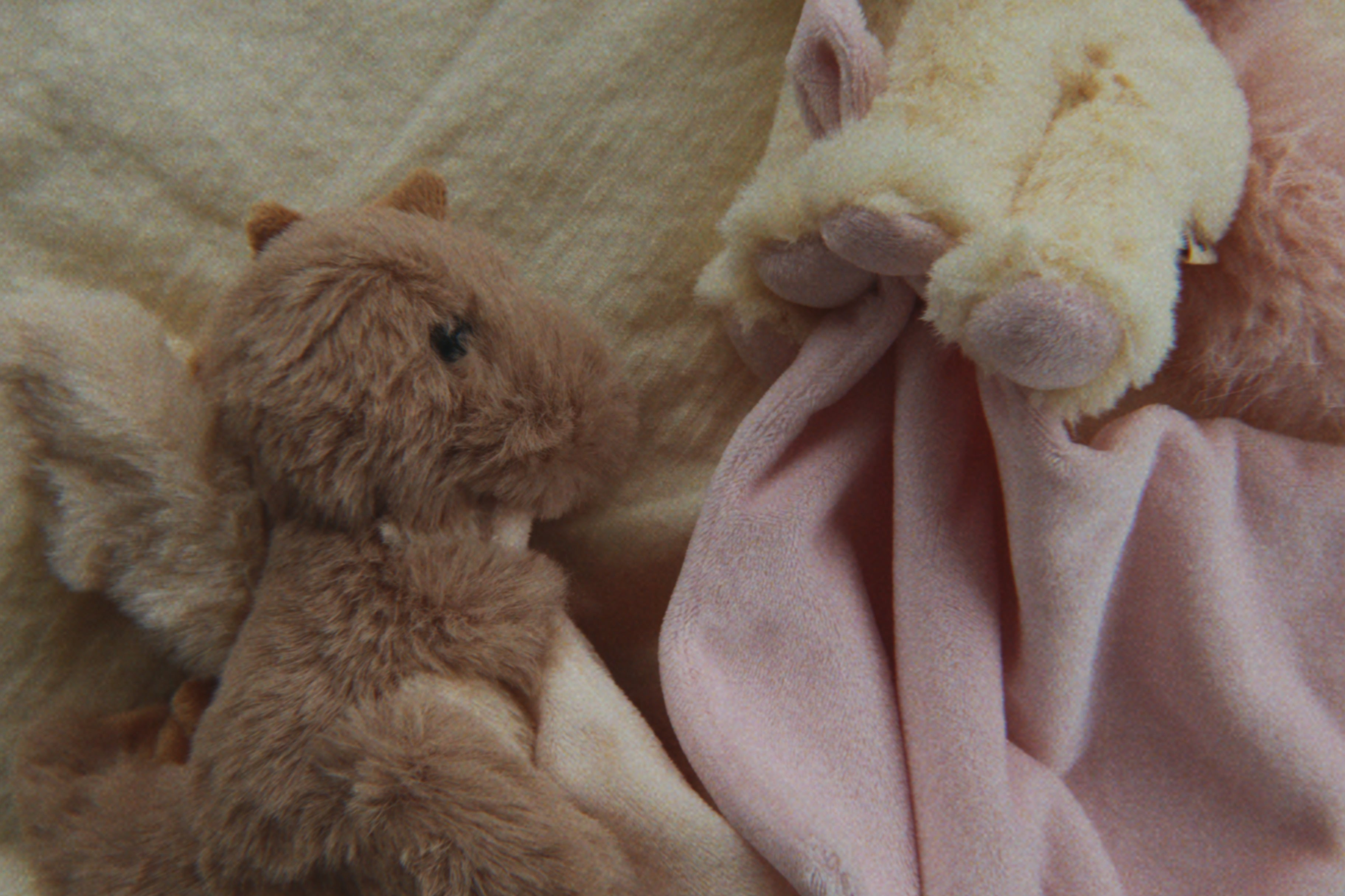 Konges Sløjd A/S TEDDY BEARS dragon