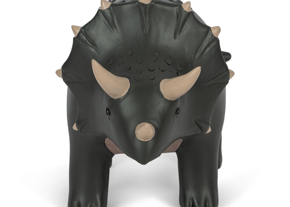 Konges Sløjd A/S Decoratie dinomite