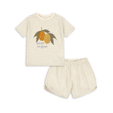 Konges Sløjd A/S Sets tea stripe