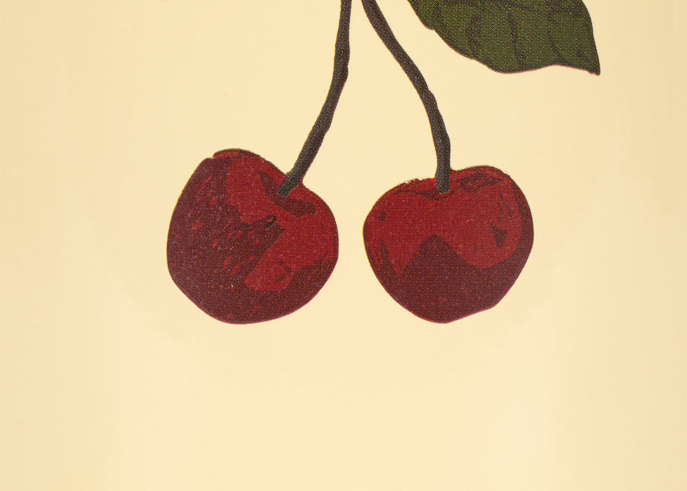 Konges Sløjd A/S Buitenspelen cherry