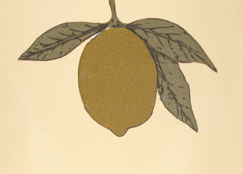 Konges Sløjd A/S Buitenspelen lemon